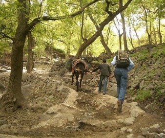 hiking toubkal